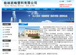 桂林网站建设成功案例 | 激光网络 一站式互联网服务解决方案